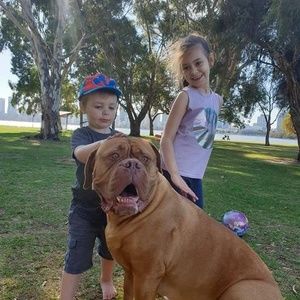 Meet your Posher, Debbie